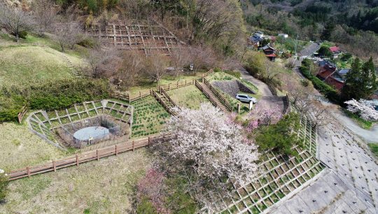 かみあり梅の里公園の上空からの写真