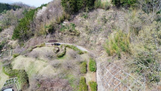 かみあり梅の里公園の上空からの写真