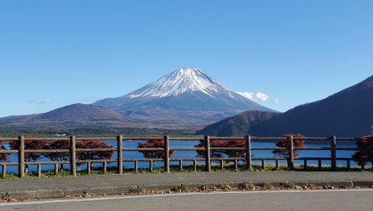 本栖湖畔線歩道のサムネイル写真