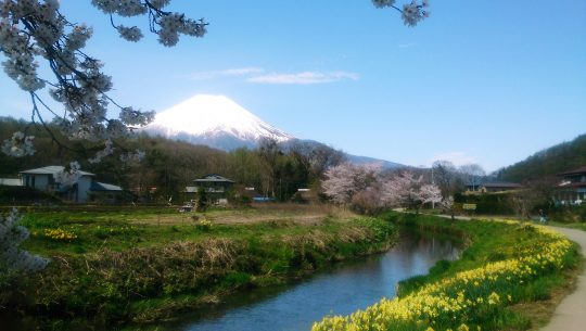 新名庄川のサムネイル写真