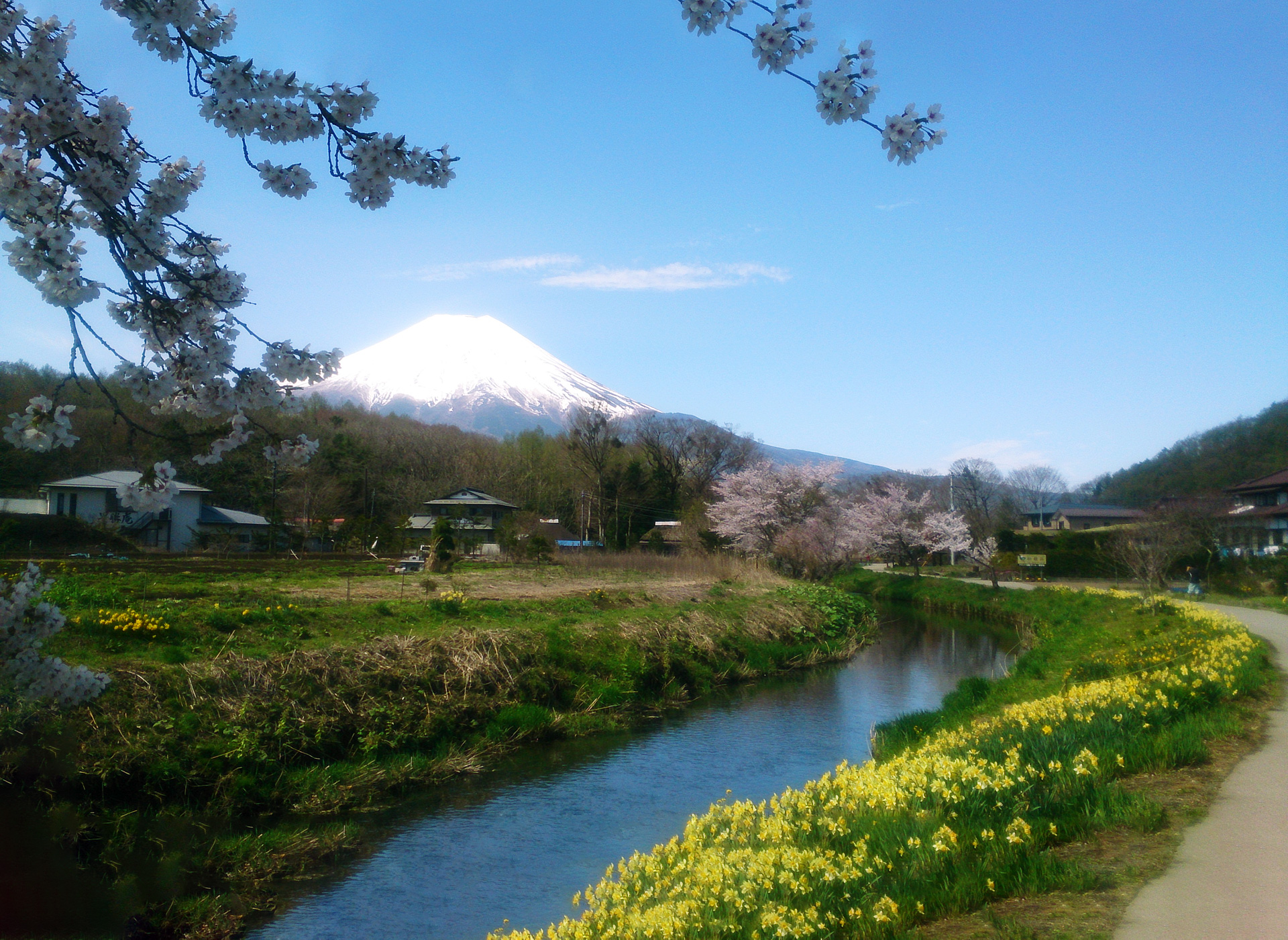 新名庄川のサムネイル写真