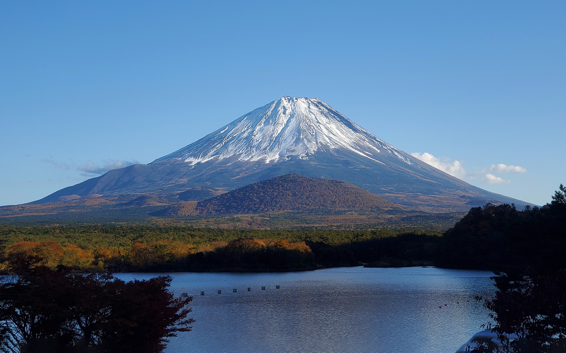 精進湖歩道のサムネイル写真