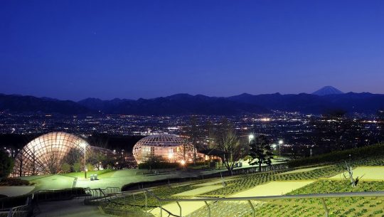 夜の風景