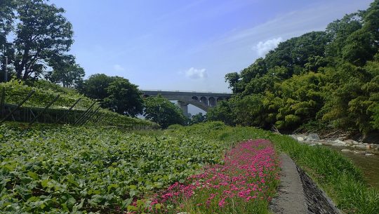 祝橋 遠目から見た様