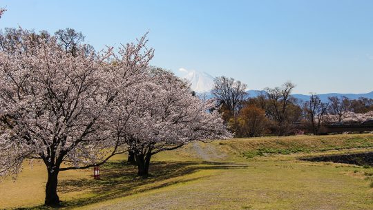 信玄堤 信玄堤公園